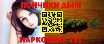 гашик Дубна