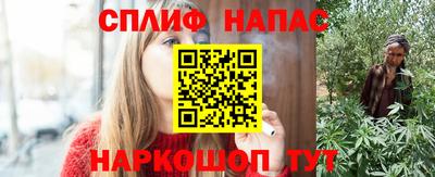 гашик Дубна