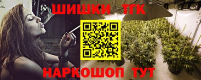 гашик Дубна