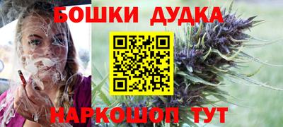 гашик Дубна