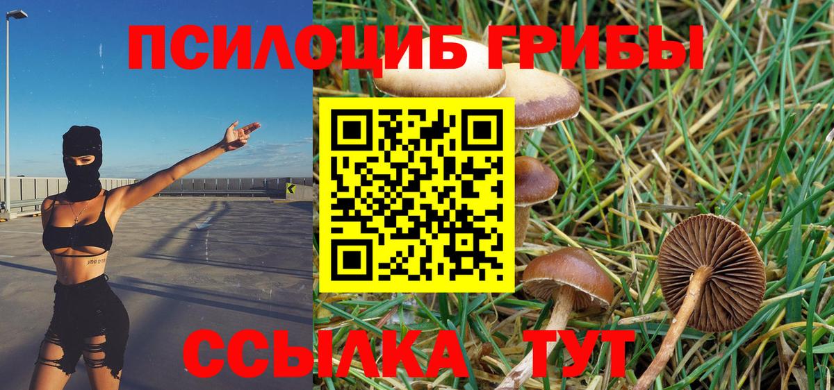 Галлюциногенные грибы Psilocybe  Вход с VPN  Мариинск  Псилоцибиновые грибы GOLDEN TEACHER 